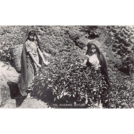 Rare collectable postcards of Sri Lanka (Ceylon). Vintage Postcards of Sri Lanka (Ceylon)