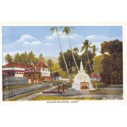 Rare collectable postcards of Sri Lanka (Ceylon). Vintage Postcards of Sri Lanka (Ceylon)