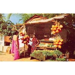 Rare collectable postcards of Sri Lanka (Ceylon). Vintage Postcards of Sri Lanka (Ceylon)