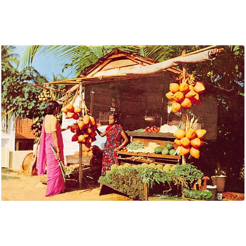 Rare collectable postcards of Sri Lanka (Ceylon). Vintage Postcards of Sri Lanka (Ceylon)
