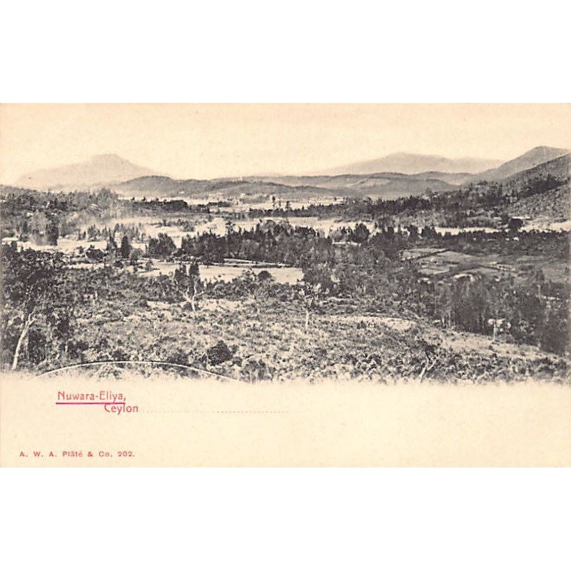 Rare collectable postcards of Sri Lanka (Ceylon). Vintage Postcards of Sri Lanka (Ceylon)