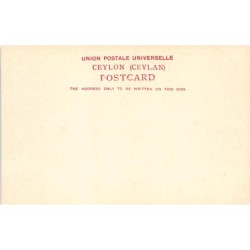 Rare collectable postcards of Sri Lanka (Ceylon). Vintage Postcards of Sri Lanka (Ceylon)