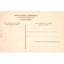 Rare collectable postcards of Sri Lanka (Ceylon). Vintage Postcards of Sri Lanka (Ceylon)