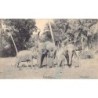 Rare collectable postcards of Sri Lanka (Ceylon). Vintage Postcards of Sri Lanka (Ceylon)