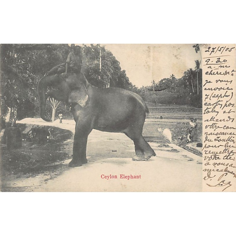 Rare collectable postcards of Sri Lanka (Ceylon). Vintage Postcards of Sri Lanka (Ceylon)