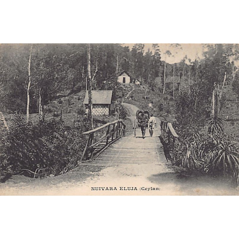 Rare collectable postcards of Sri Lanka (Ceylon). Vintage Postcards of Sri Lanka (Ceylon)