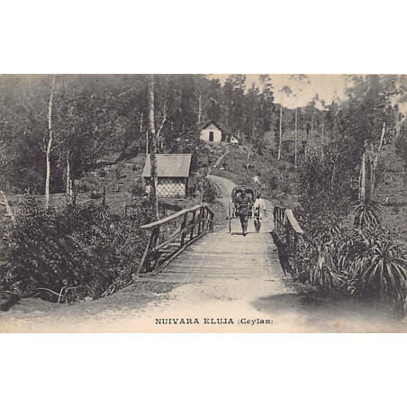 Rare collectable postcards of Sri Lanka (Ceylon). Vintage Postcards of Sri Lanka (Ceylon)