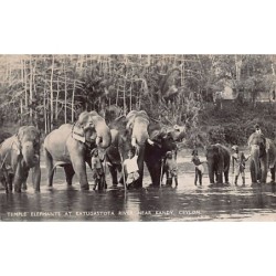 Rare collectable postcards of Sri Lanka (Ceylon). Vintage Postcards of Sri Lanka (Ceylon)