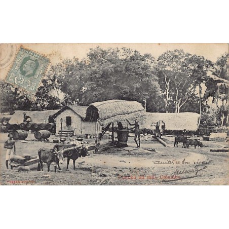 Rare collectable postcards of Sri Lanka (Ceylon). Vintage Postcards of Sri Lanka (Ceylon)