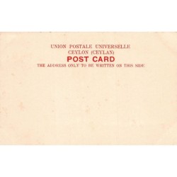 Rare collectable postcards of Sri Lanka (Ceylon). Vintage Postcards of Sri Lanka (Ceylon)
