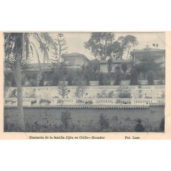 Rare collectable postcards of Ecuador. Vintage Postcards of Ecuador