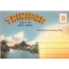 Rare collectable postcards of Trinidad & Tobago. Vintage Postcards of Trinidad & Tobago