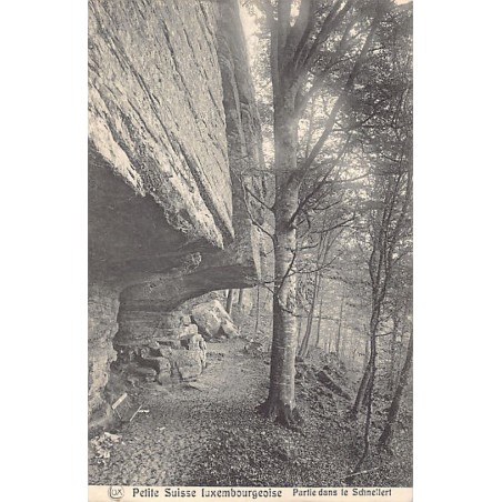 Rare collectable postcards of Luxembourg. Vintage Postcards of Luxembourg