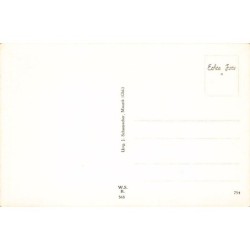 Rare collectable postcards of Netherlands. Vintage Postcards of Netherlands