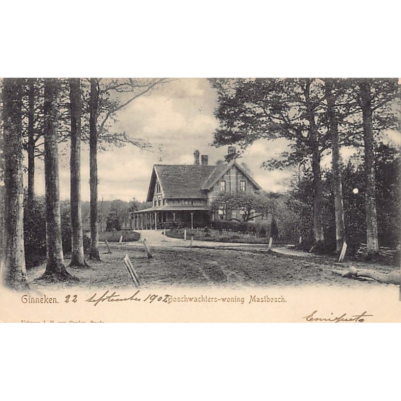 Rare collectable postcards of Netherlands. Vintage Postcards of Netherlands