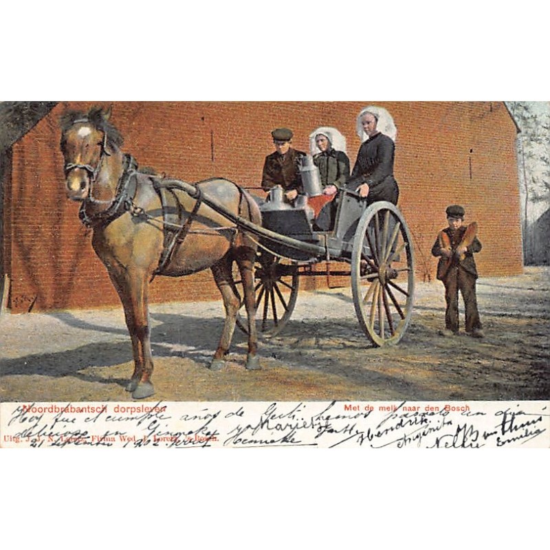 Rare collectable postcards of Netherlands. Vintage Postcards of Netherlands