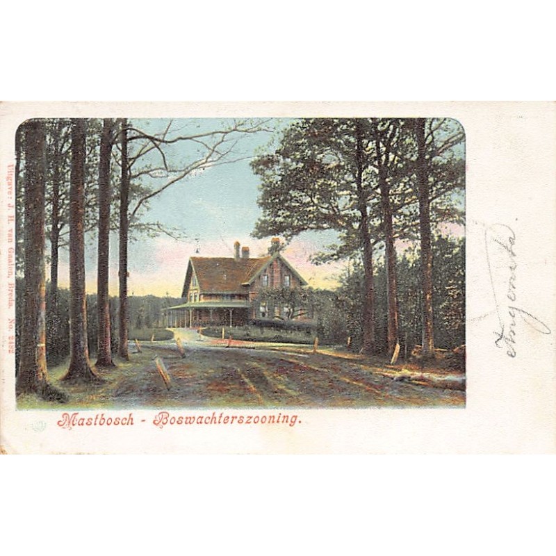 Rare collectable postcards of Netherlands. Vintage Postcards of Netherlands