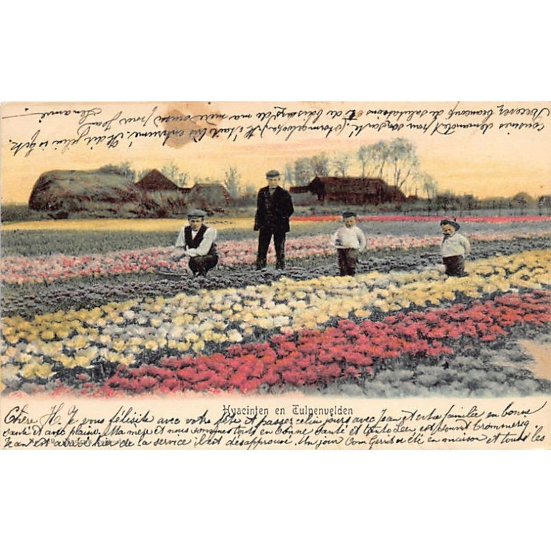 Rare collectable postcards of Netherlands. Vintage Postcards of Netherlands