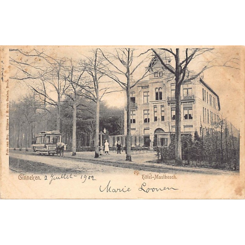 Rare collectable postcards of Netherlands. Vintage Postcards of Netherlands