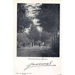 Rare collectable postcards of Netherlands. Vintage Postcards of Netherlands