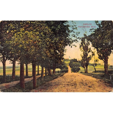 Rare collectable postcards of Poland. Vintage Postcards of Poland