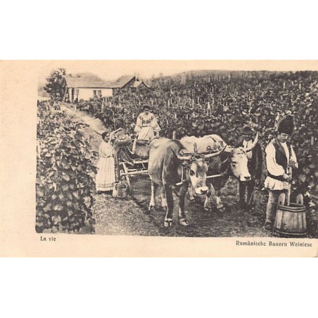 Rare collectable postcards of Romania. Vintage Postcards of Romania