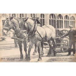 Rare collectable postcards of Belgium. Vintage Postcards of Belgium