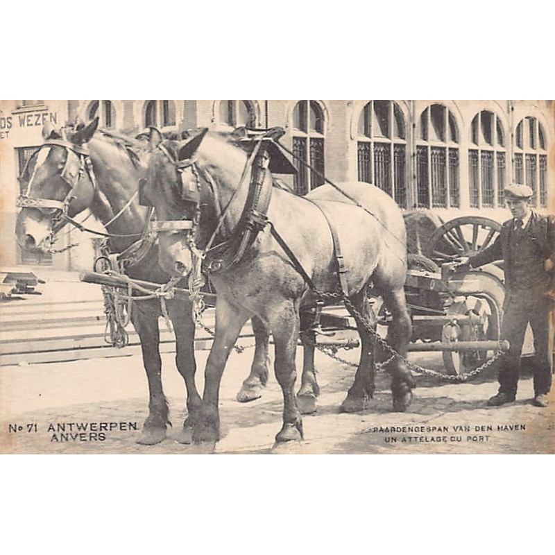 Rare collectable postcards of Belgium. Vintage Postcards of Belgium