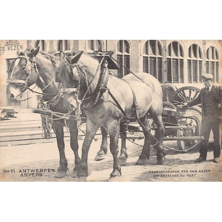 Rare collectable postcards of Belgium. Vintage Postcards of Belgium
