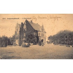 Rare collectable postcards of Belgium. Vintage Postcards of Belgium