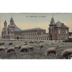 Rare collectable postcards of Belgium. Vintage Postcards of Belgium