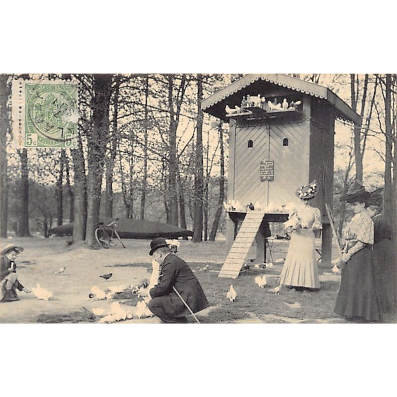 Rare collectable postcards of Belgium. Vintage Postcards of Belgium