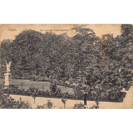 Rare collectable postcards of POLAND. Vintage Postcards of POLAND