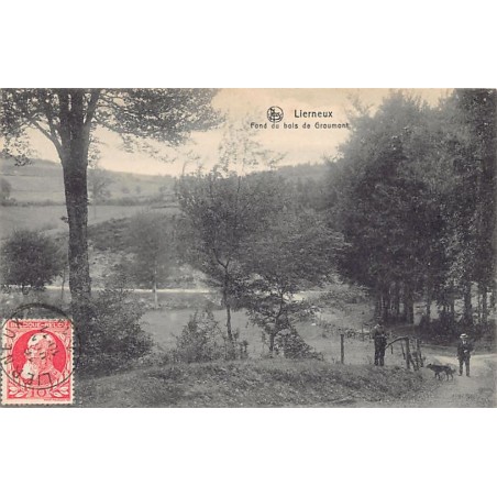 Rare collectable postcards of Belgium. Vintage Postcards of Belgium