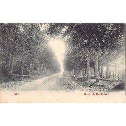 Rare collectable postcards of Belgium. Vintage Postcards of Belgium