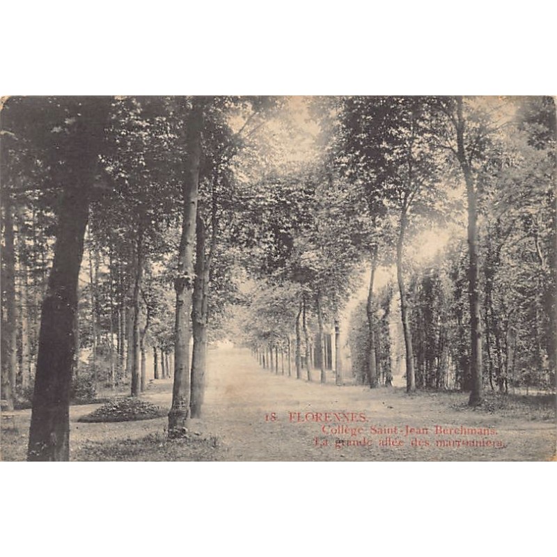 Rare collectable postcards of Belgium. Vintage Postcards of Belgium