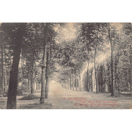 Rare collectable postcards of Belgium. Vintage Postcards of Belgium