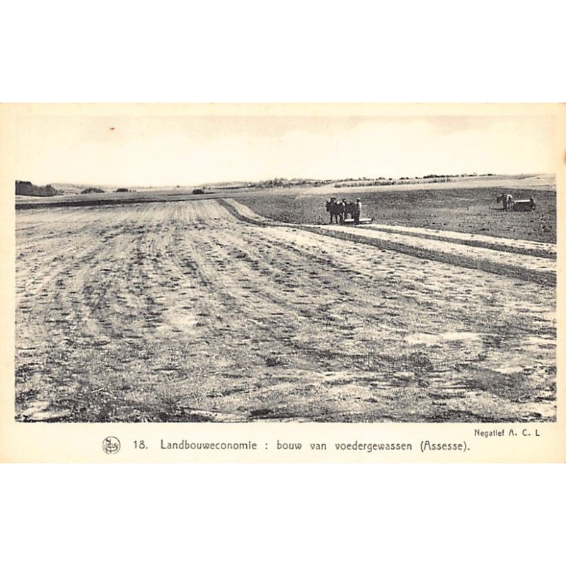 Rare collectable postcards of Belgium. Vintage Postcards of Belgium