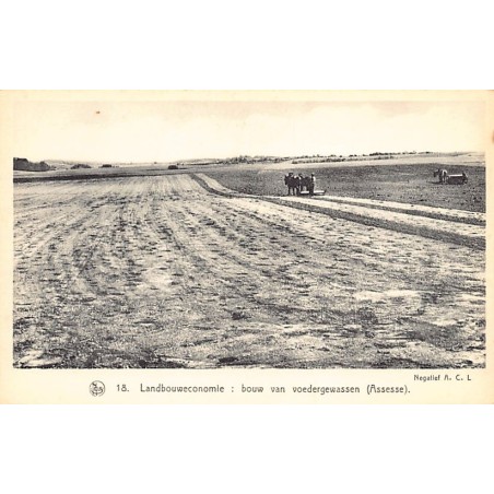 Rare collectable postcards of Belgium. Vintage Postcards of Belgium