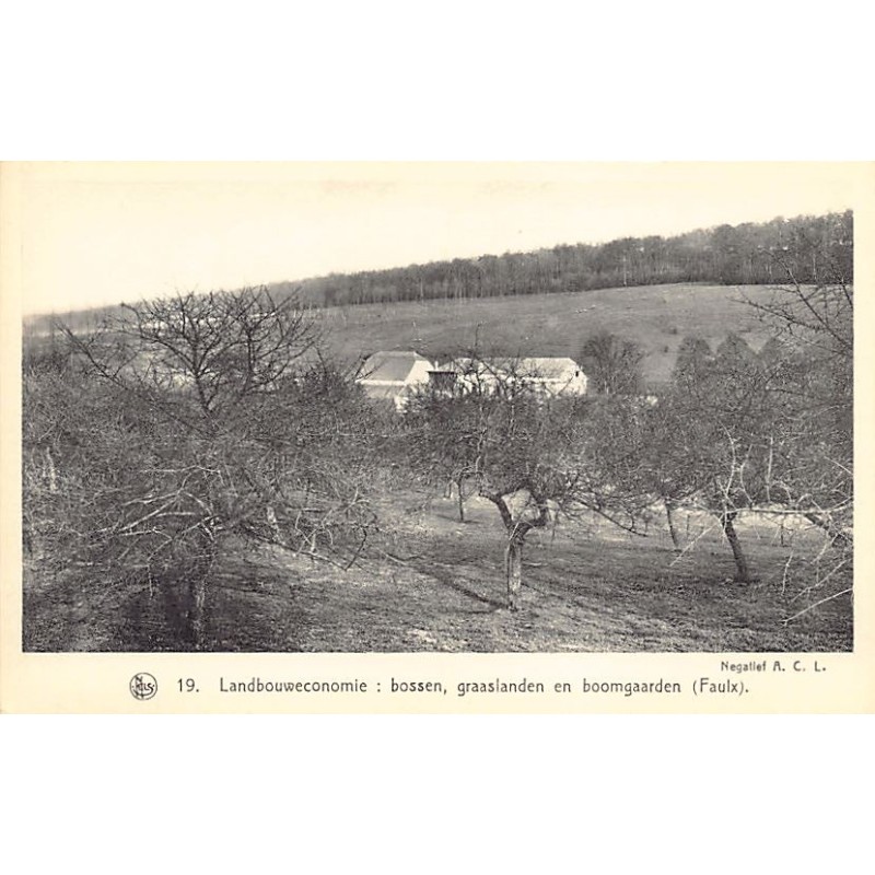 Rare collectable postcards of Belgium. Vintage Postcards of Belgium