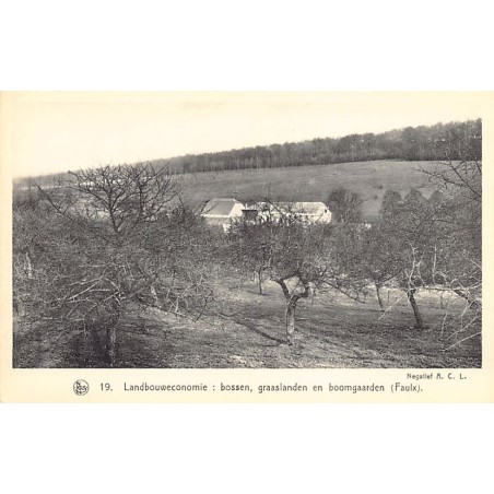 Rare collectable postcards of Belgium. Vintage Postcards of Belgium