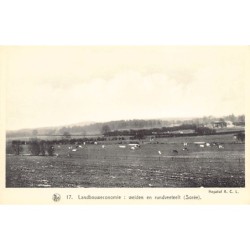 Rare collectable postcards of Belgium. Vintage Postcards of Belgium