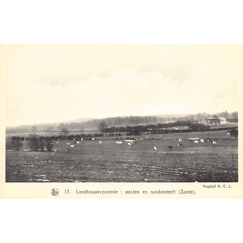 Rare collectable postcards of Belgium. Vintage Postcards of Belgium