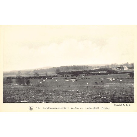 Rare collectable postcards of Belgium. Vintage Postcards of Belgium