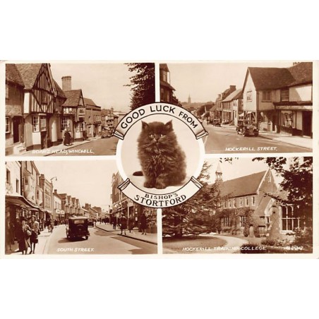 Rare collectable postcards of United Kingdom - England. Vintage Postcards of United Kingdom - England