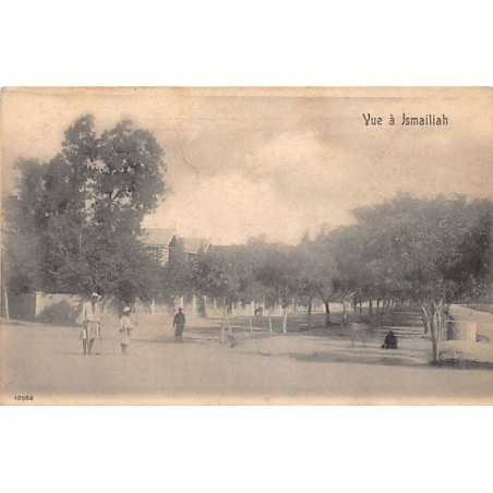 Rare collectable postcards of Egypt. Vintage Postcards of Egypt