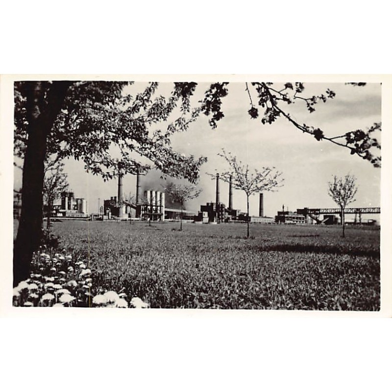 Rare collectable postcards of POLAND. Vintage Postcards of POLAND
