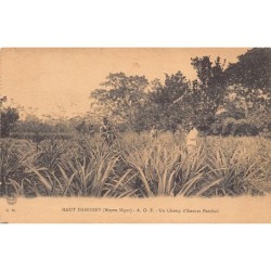 Rare collectable postcards of Benin (Dahomey). Vintage Postcards of Benin (Dahomey)