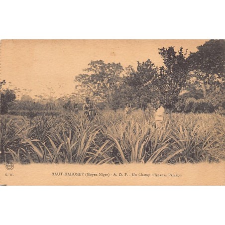 Rare collectable postcards of Benin (Dahomey). Vintage Postcards of Benin (Dahomey)