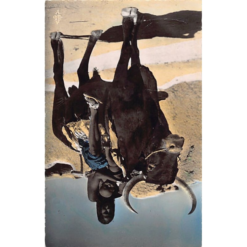 Rare collectable postcards of Chad. Vintage Postcards of Chad